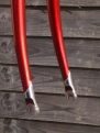 Track forks, stainless dropouts